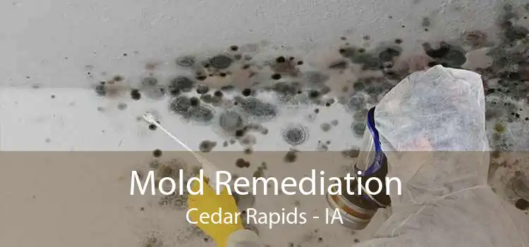 Mold Remediation Cedar Rapids - IA