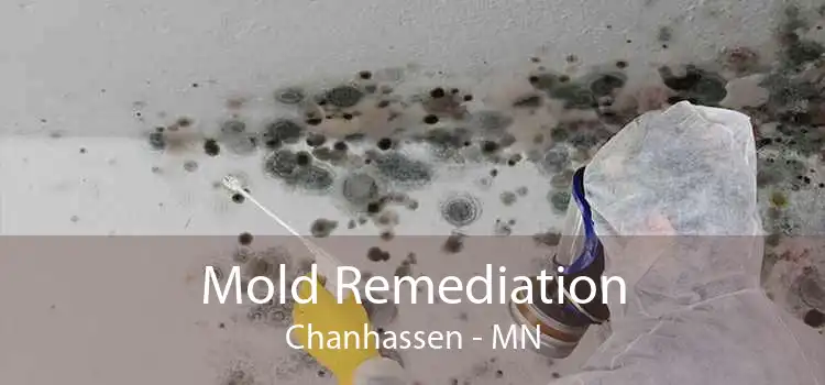 Mold Remediation Chanhassen - MN