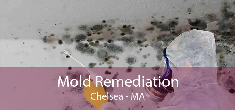 Mold Remediation Chelsea - MA