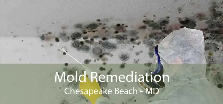 Mold Remediation Chesapeake Beach - MD