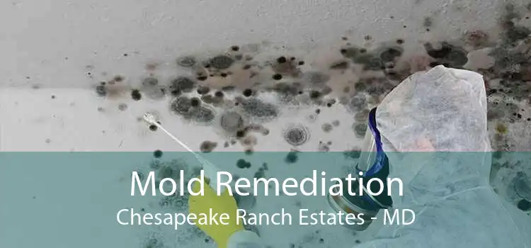 Mold Remediation Chesapeake Ranch Estates - MD