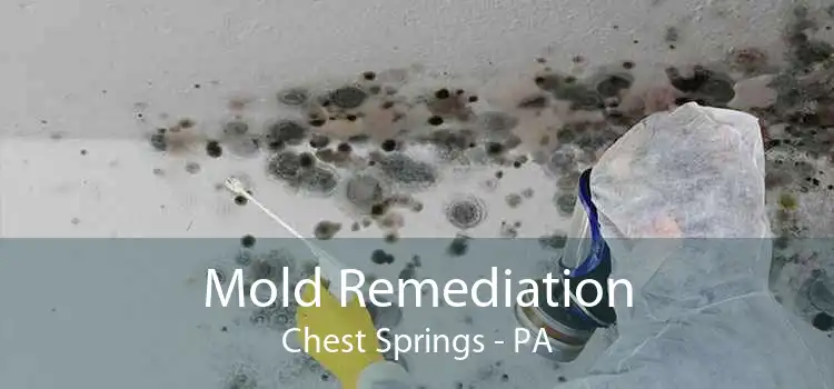 Mold Remediation Chest Springs - PA