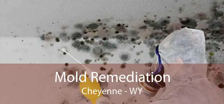 Mold Remediation Cheyenne - WY