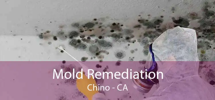 Mold Remediation Chino - CA