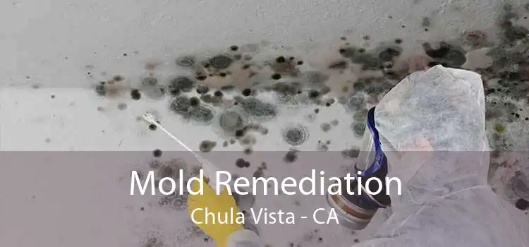 Mold Remediation Chula Vista - CA