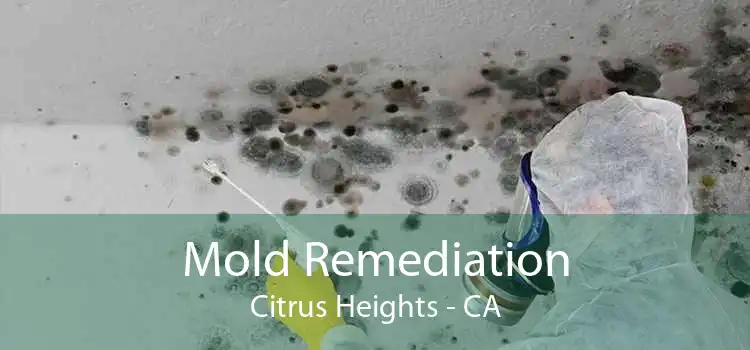 Mold Remediation Citrus Heights - CA