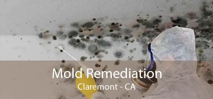 Mold Remediation Claremont - CA