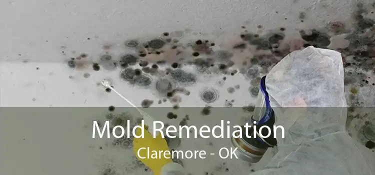 Mold Remediation Claremore - OK
