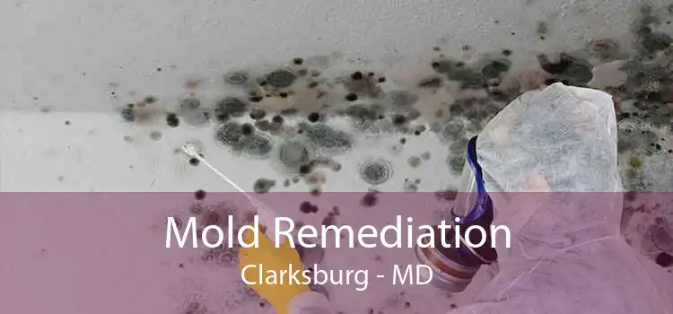 Mold Remediation Clarksburg - MD