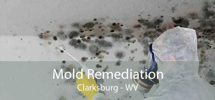 Mold Remediation Clarksburg - WV