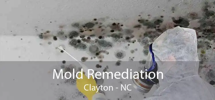 Mold Remediation Clayton - NC
