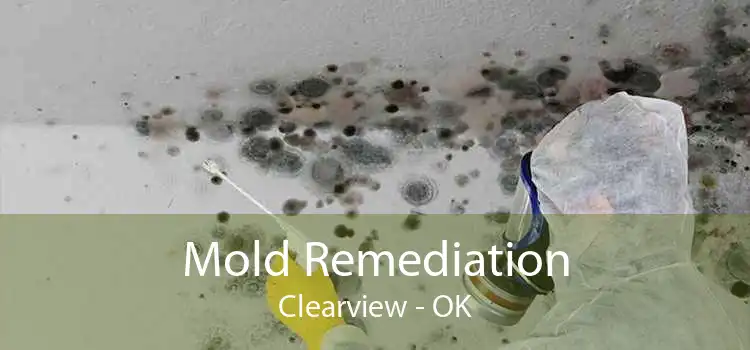 Mold Remediation Clearview - OK