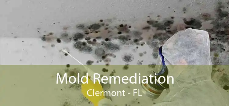 Mold Remediation Clermont - FL