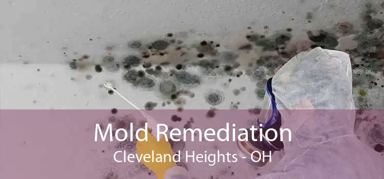 Mold Remediation Cleveland Heights - OH