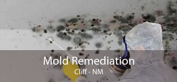 Mold Remediation Cliff - NM