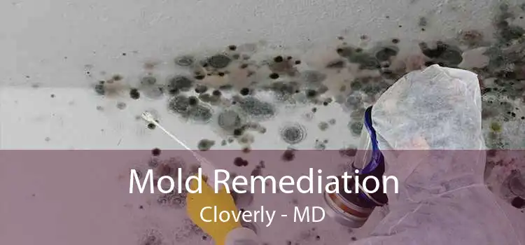 Mold Remediation Cloverly - MD