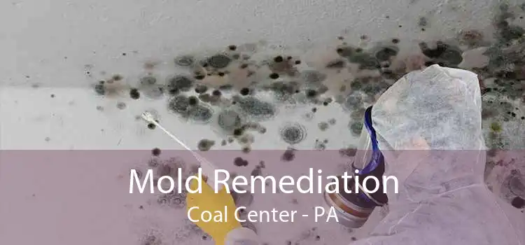 Mold Remediation Coal Center - PA