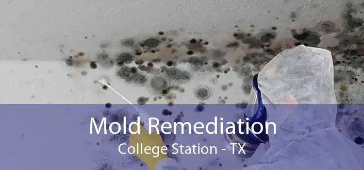 Mold Remediation College Station - TX