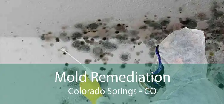 Mold Remediation Colorado Springs - CO