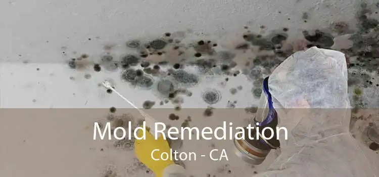 Mold Remediation Colton - CA