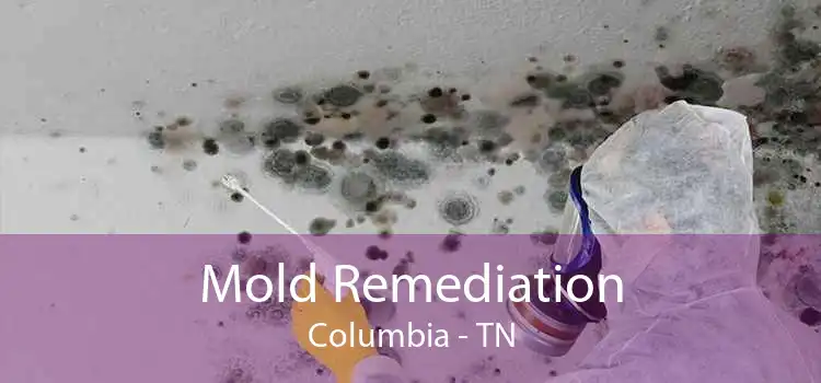 Mold Remediation Columbia - TN