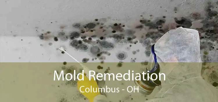 Mold Remediation Columbus - OH