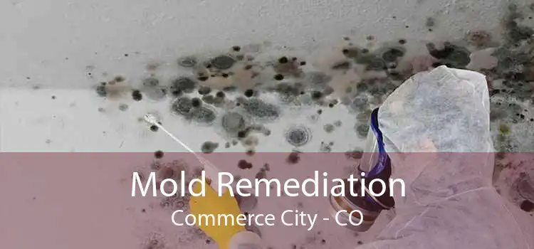 Mold Remediation Commerce City - CO