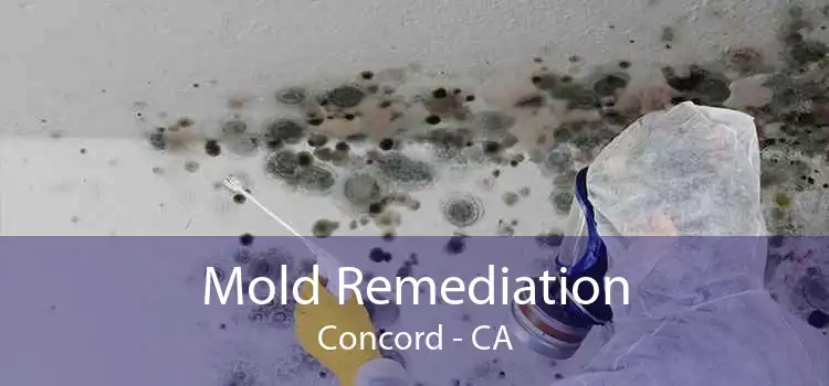 Mold Remediation Concord - CA
