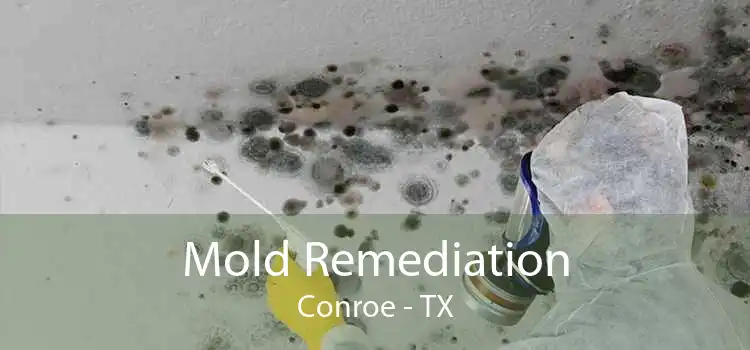 Mold Remediation Conroe - TX
