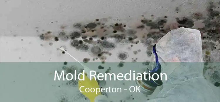 Mold Remediation Cooperton - OK