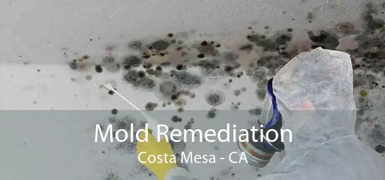 Mold Remediation Costa Mesa - CA