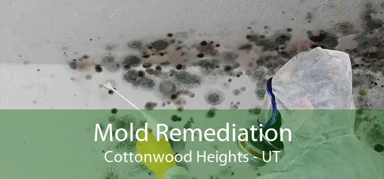 Mold Remediation Cottonwood Heights - UT