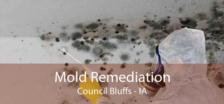 Mold Remediation Council Bluffs - IA