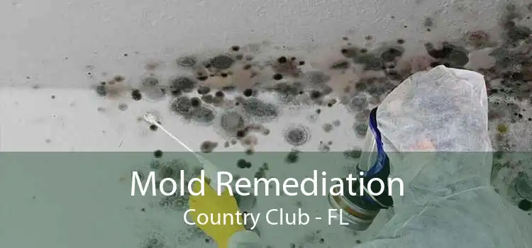 Mold Remediation Country Club - FL