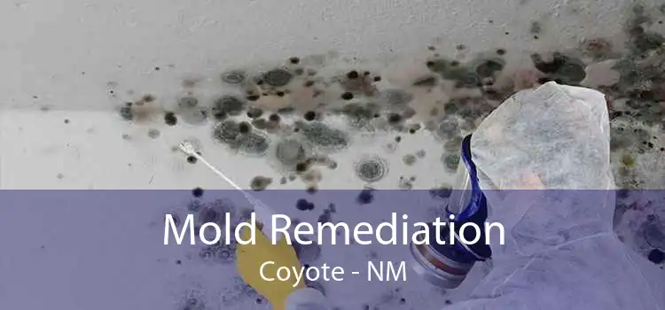 Mold Remediation Coyote - NM
