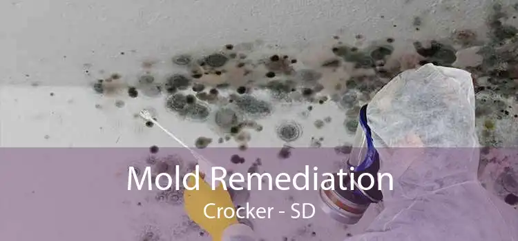 Mold Remediation Crocker - SD