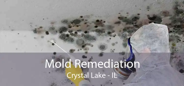 Mold Remediation Crystal Lake - IL
