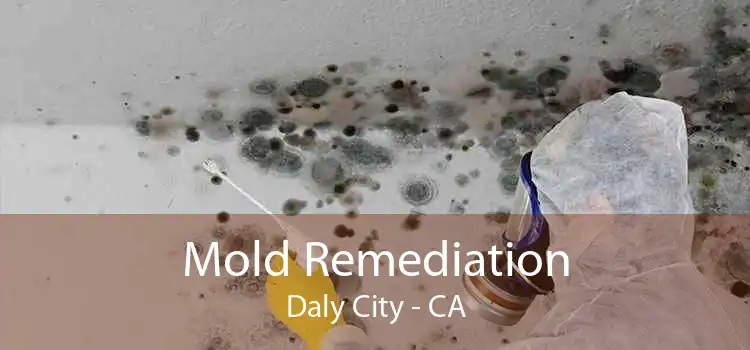 Mold Remediation Daly City - CA