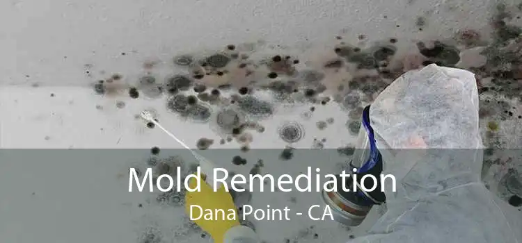 Mold Remediation Dana Point - CA