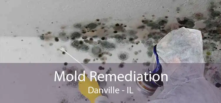 Mold Remediation Danville - IL