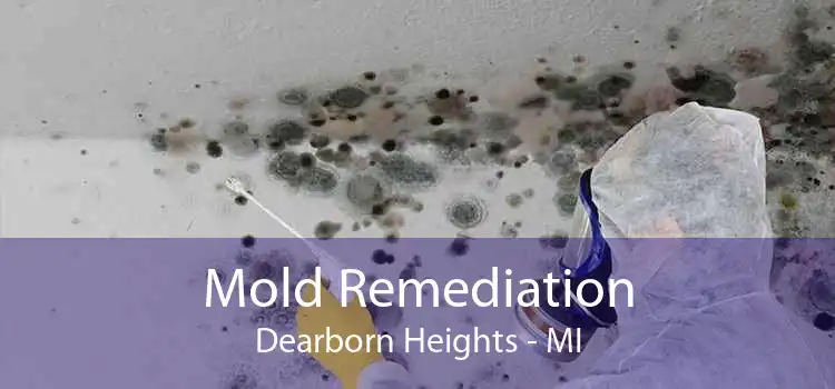 Mold Remediation Dearborn Heights - MI