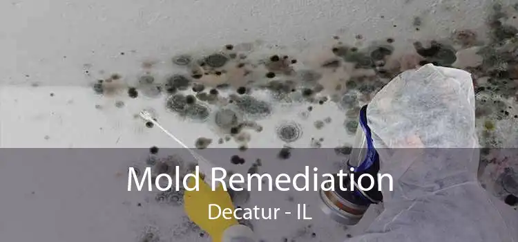 Mold Remediation Decatur - IL