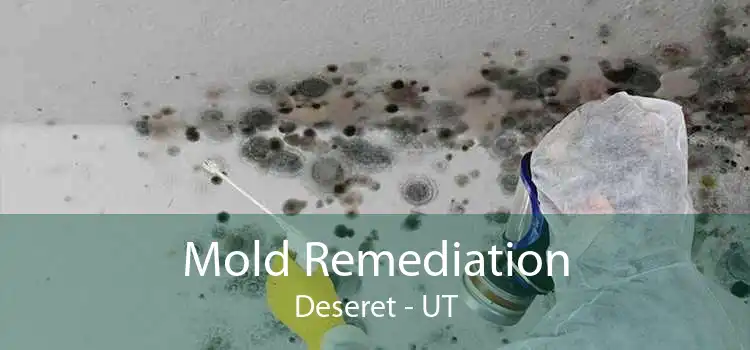 Mold Remediation Deseret - UT