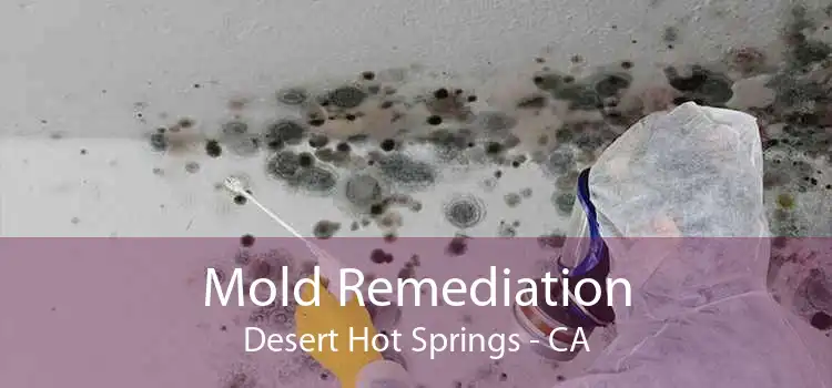 Mold Remediation Desert Hot Springs - CA