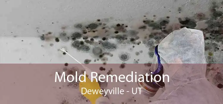 Mold Remediation Deweyville - UT