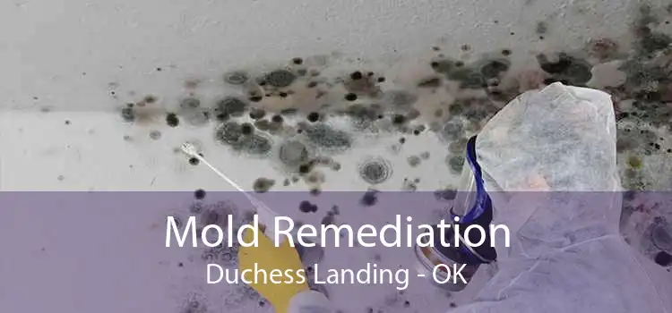 Mold Remediation Duchess Landing - OK