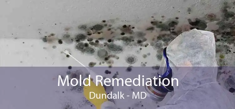 Mold Remediation Dundalk - MD