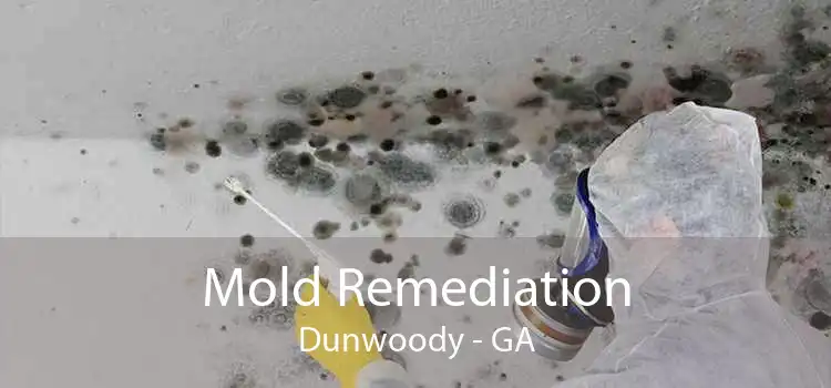 Mold Remediation Dunwoody - GA