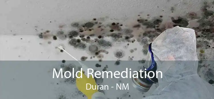 Mold Remediation Duran - NM