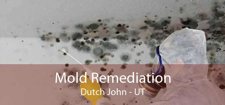 Mold Remediation Dutch John - UT